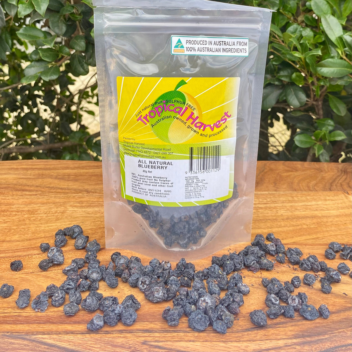 Australian Dried Blueberry