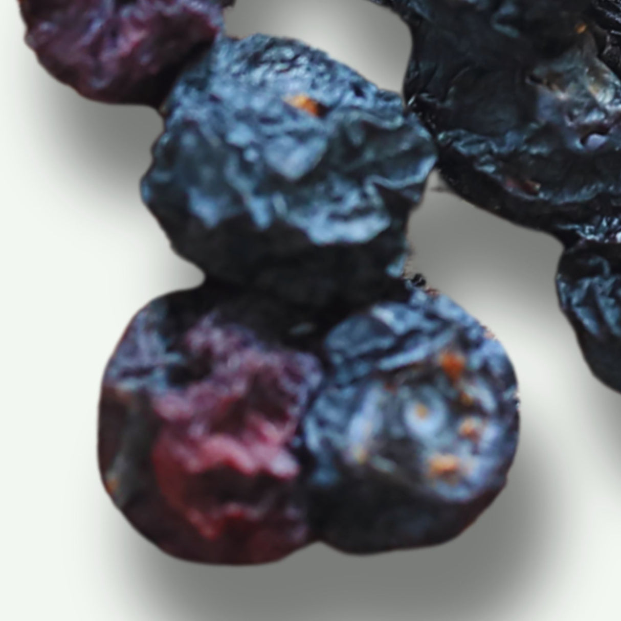 Close-up of dried blueberries showing natural texture and rich color