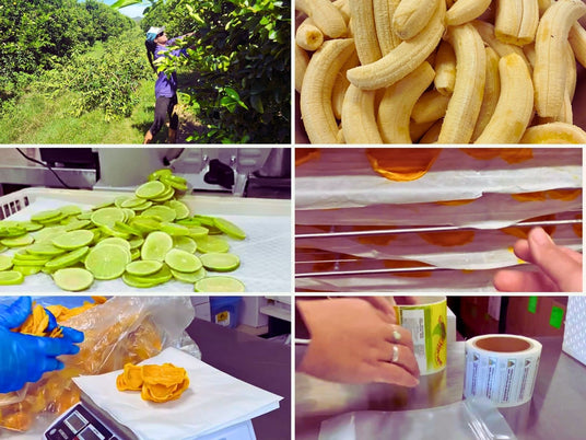 Step-by-step process of making dried fruit at Tropical Harvest: harvesting citrus, preparing bananas, slicing limes, drying mango, hand-packing, and applying product labels in Far North Queensland.
