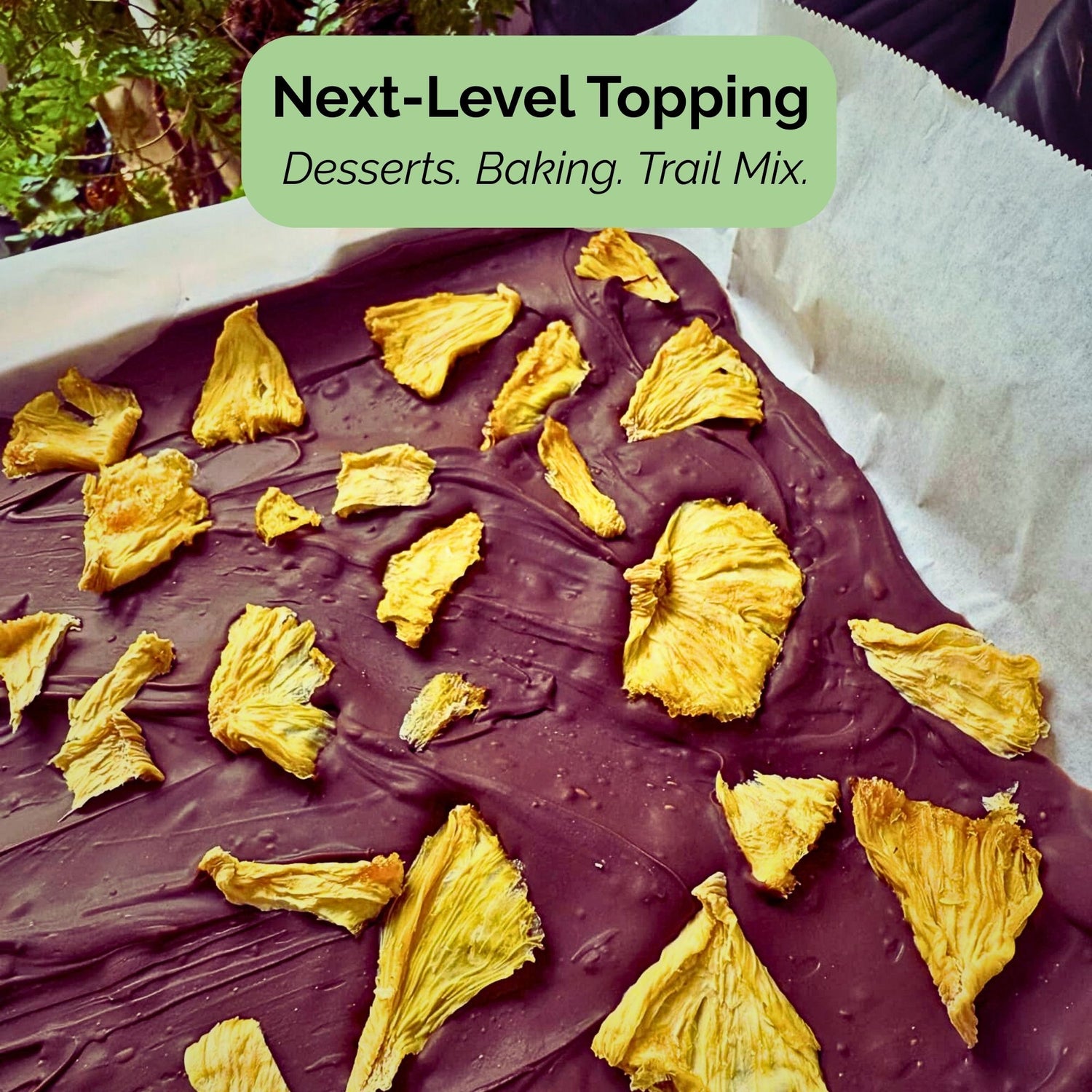 Tropical Harvest dried pineapple is used as a topping on chocolate bark. Text overlay: "Next-Level Topping: Desserts. Baking. Trail Mix."