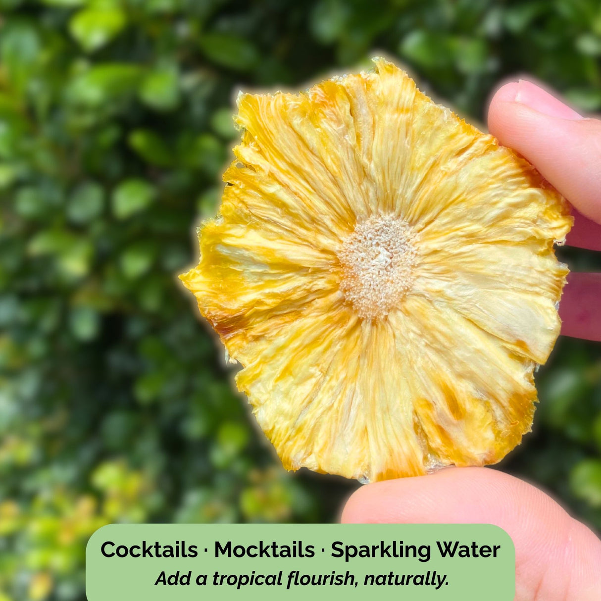Hand holding a single Tropical Harvest dried pineapple flower against greenery. Text overlay: "Cocktails Β· Mocktails Β· Sparkling Water β Add a tropical flourish, naturally