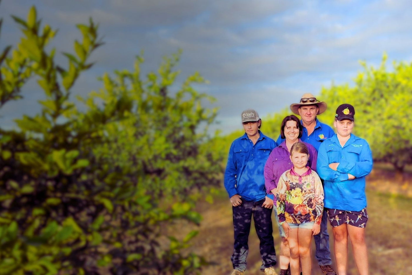 Tropical Harvest family in their orchard in Dimbulah, QLD, producing slow-dried Australian fruit.