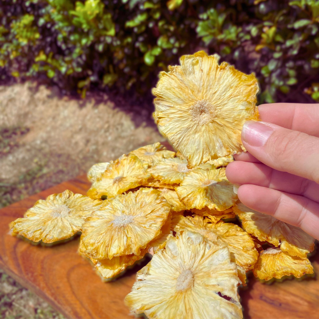 Close-up of a hand holding a Tropical Harvest dried pineapple flower slice above a wooden board with more dried fruit pieces. Naturally sweet and additive-free.
