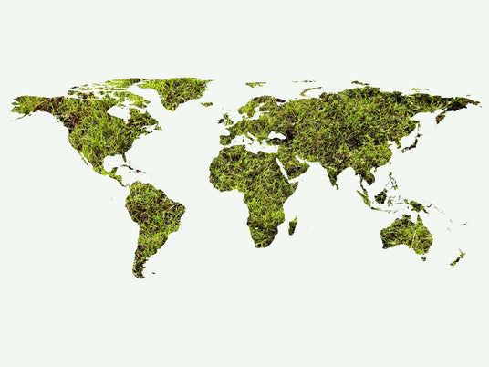 Green world map symbolising Tropical Harvest’s international dried fruit shipping