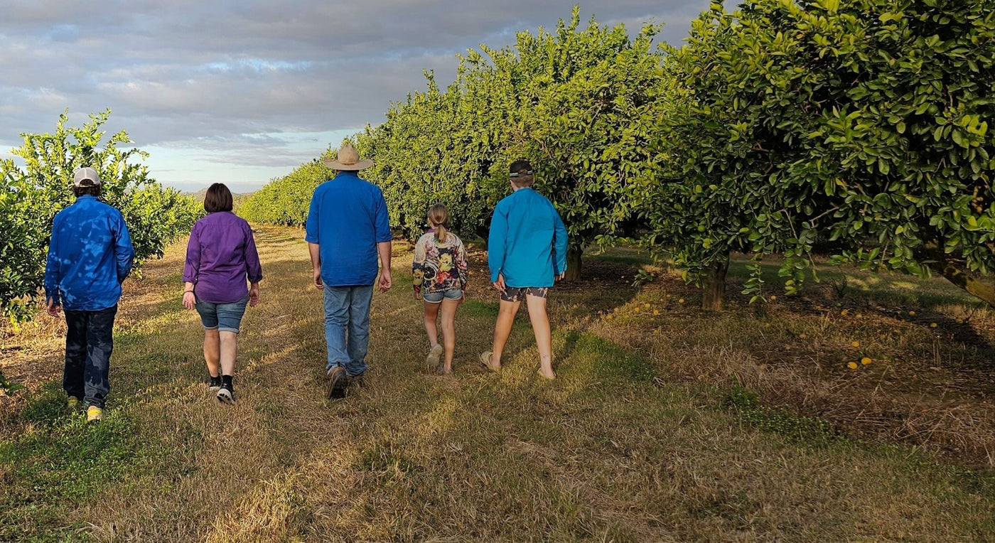 North Queensland family walking together in mango orchard on Tropical Harvest farm, highlighting Australian mango farming