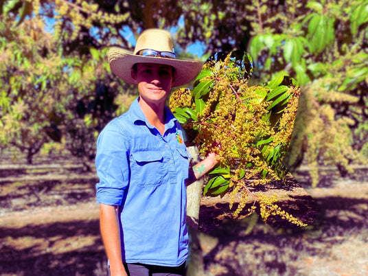 Marie, Orchard and Field Operations Leader at Tropical Harvest, is inspecting mango flowers in the orchard