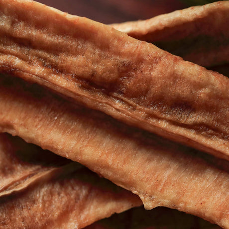 Close up texture of slow dried Australian banana long showing natural fibre and chewy fruit