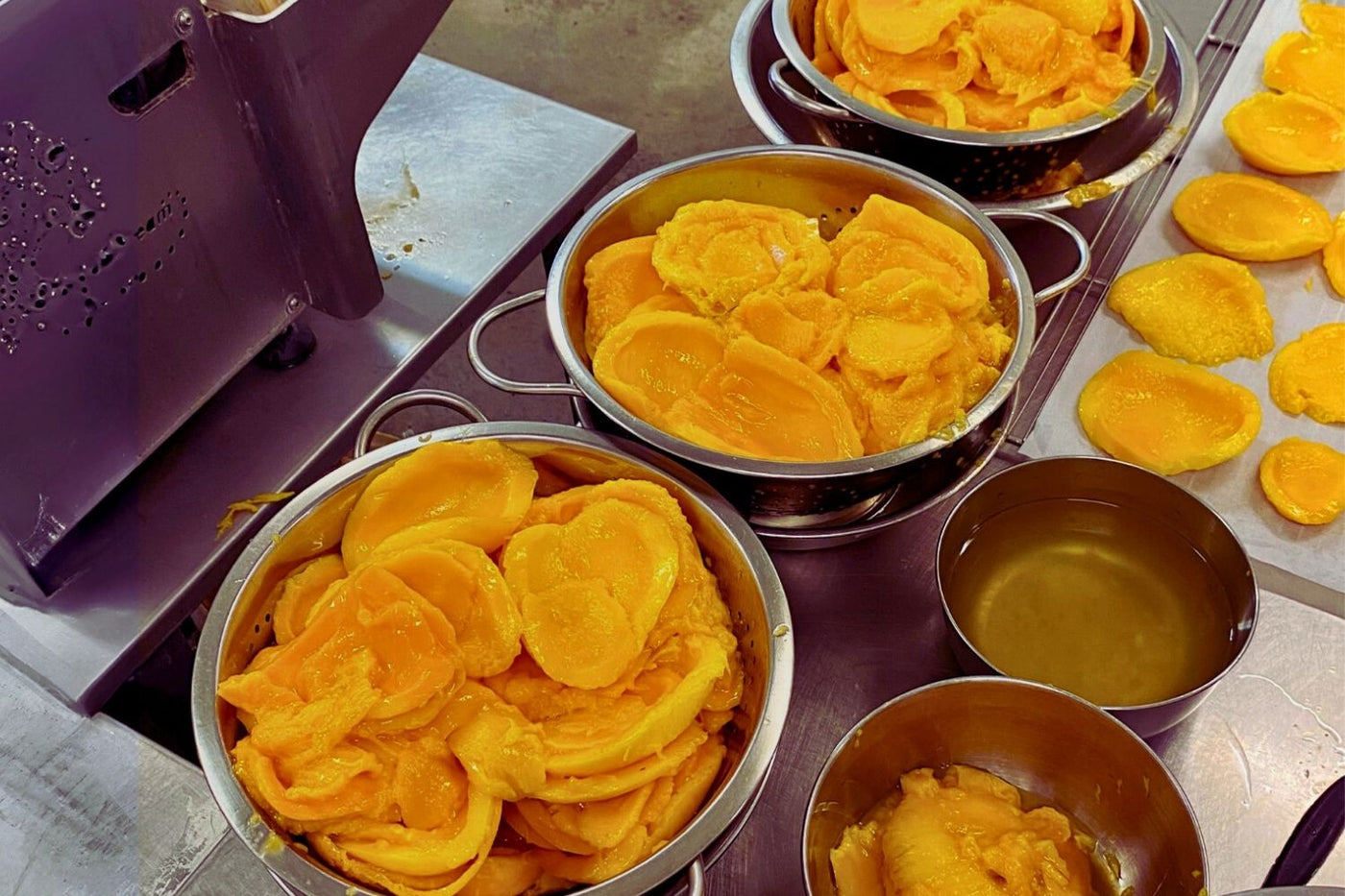Fresh Australian mango slices being prepped for drying in stainless steel bowls and trays
