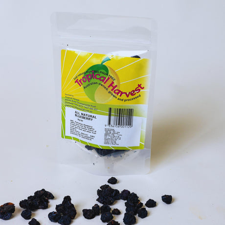 40g pack of dried blueberries for snacking and light use
