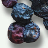 Close-up of dried blueberries showing natural texture and rich color