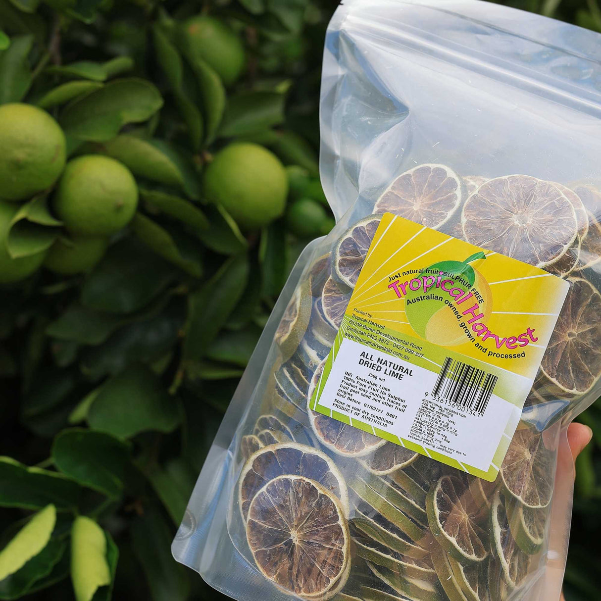 Australian Dried Limes