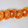 Dried mandarin slices on white background for snacking tea and drink garnish