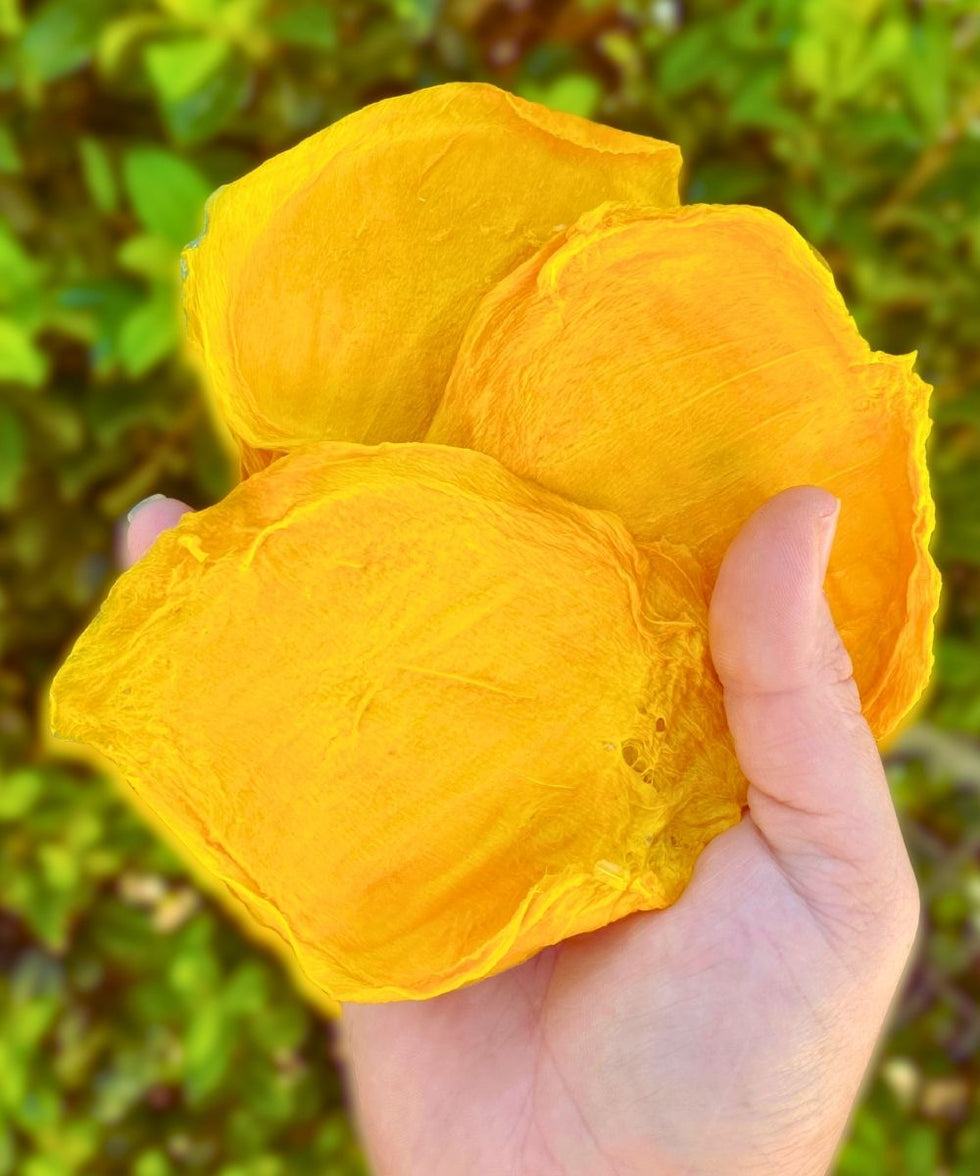 Close-up of dried mango cheeks held in hand against leafy green background. Premium Australian dried mango snack by Tropical Harvest, preservative free and naturally sweet