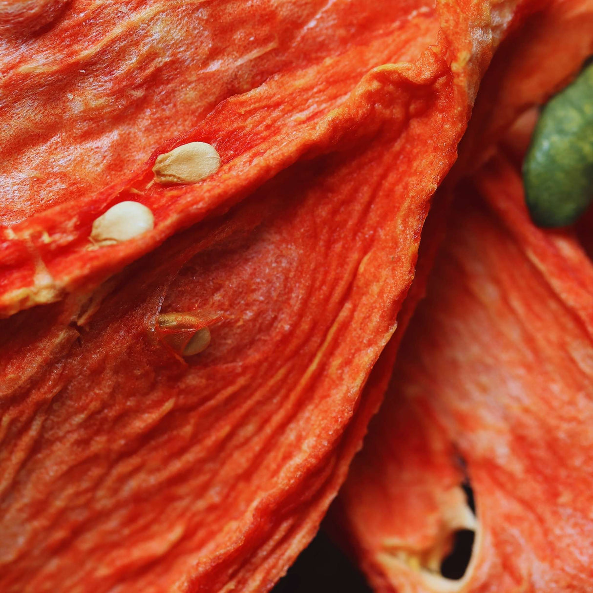 Close up dried watermelon showing texture and natural fruit detail