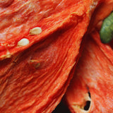 Close up dried watermelon showing texture and natural fruit detail