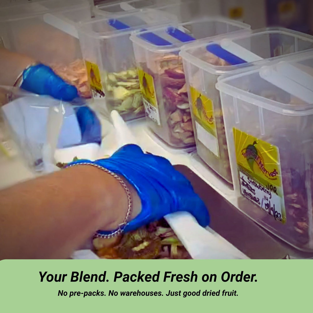 Custom dried fruit blend being packed fresh to order by hand using food-safe gloves