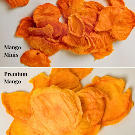 Comparison of mango minis and premium Australian dried mango slices showing size difference.