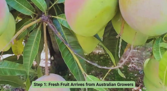  Fresh Australian fruit arriving at our Queensland facility — the very first step in our dried fruit process. Sourced from trusted Australian growers, every batch begins with real, fresh produce straight from the farm.