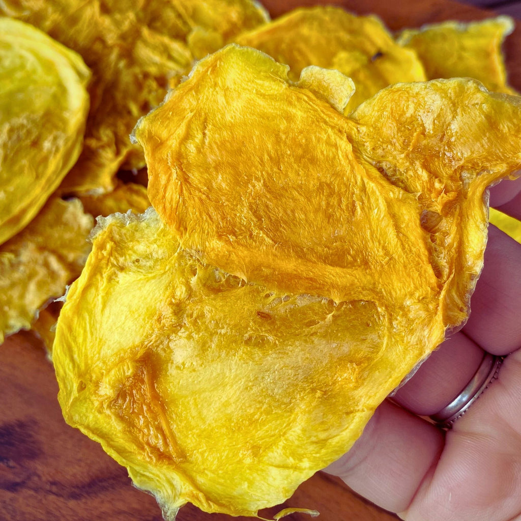Hand holding one large piece of 100% Australian dried standard mango cheek with slightly rough natural edges


