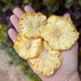 Handful of Tropical Harvest dried pineapple flowers showing flower-like slices. Naturally dried, Australian-grown fruit with no additives.