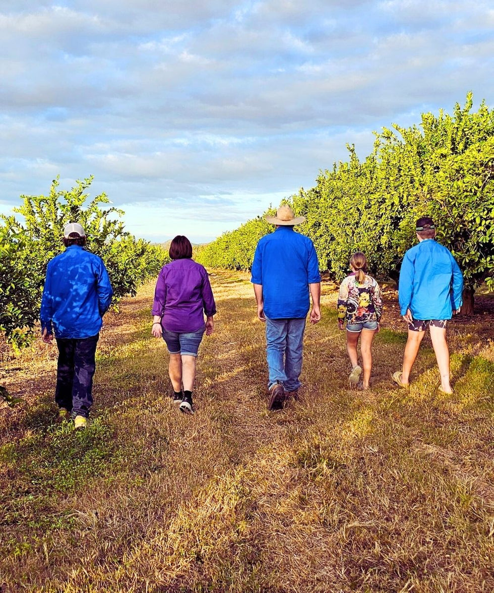 Tropical Harvest family walking through their North Queensland mango farm orchard, showcasing Australian grown mangoes